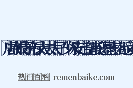 唐故银青光禄大夫太子少保安定皇甫公墓志铭近义词是什么意思的图片